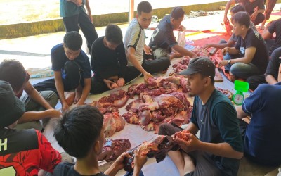 Rayakan Idul Adha, MAN 1 Bengkulu Utara Sembelih 2 Ekor Sapi